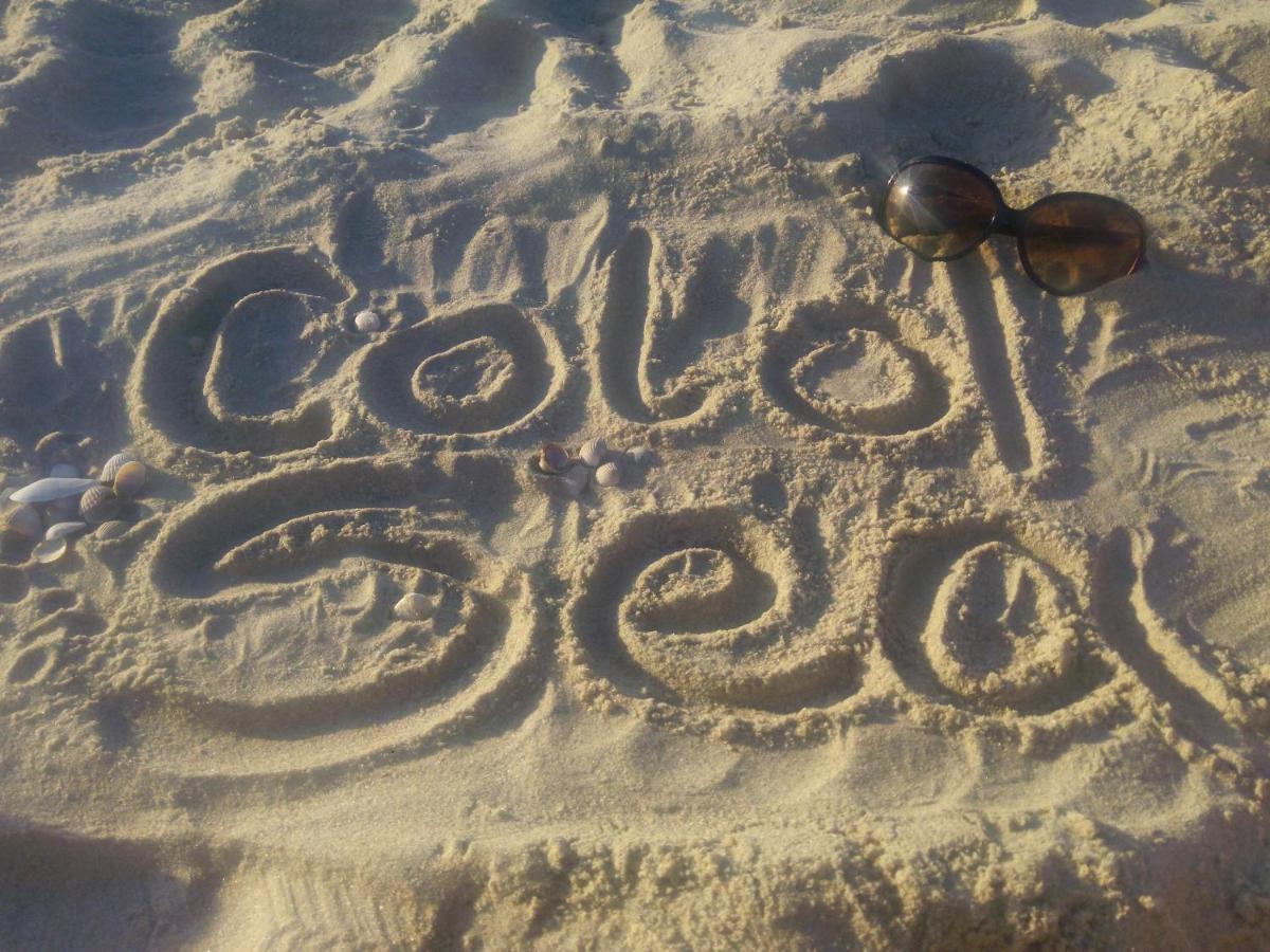 Bed and breakfast Cold Sea *