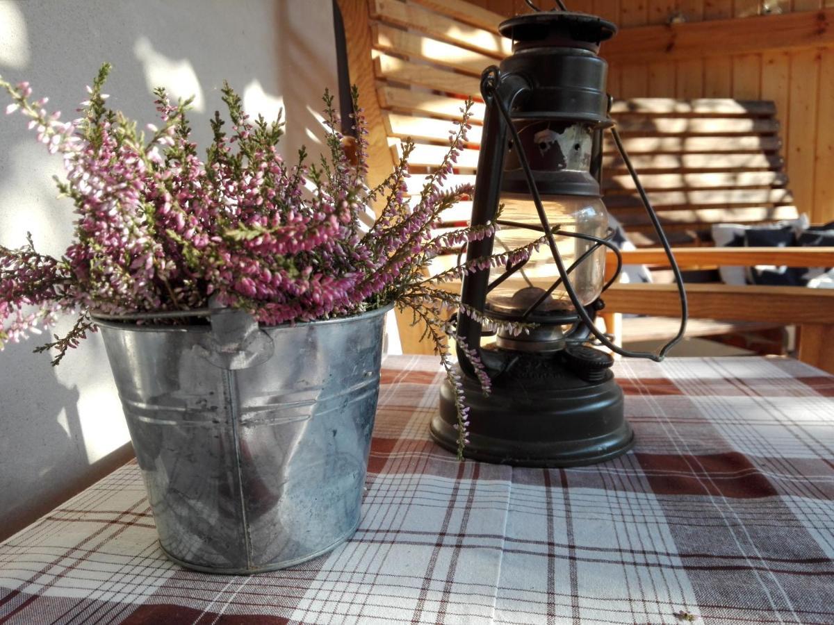 Cold Sea Bed and breakfast Sztutowo