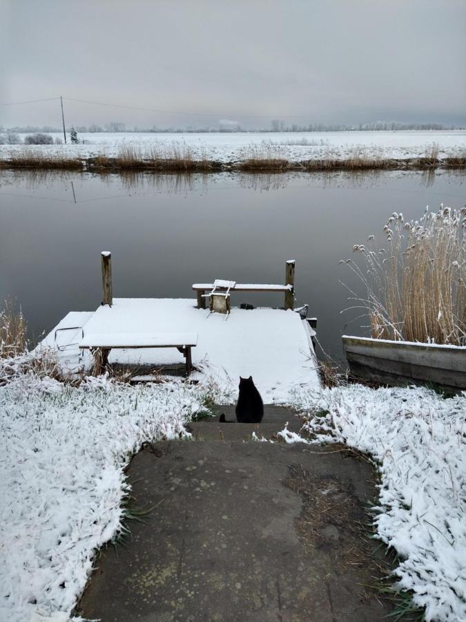 Cold Sea Sztutowo