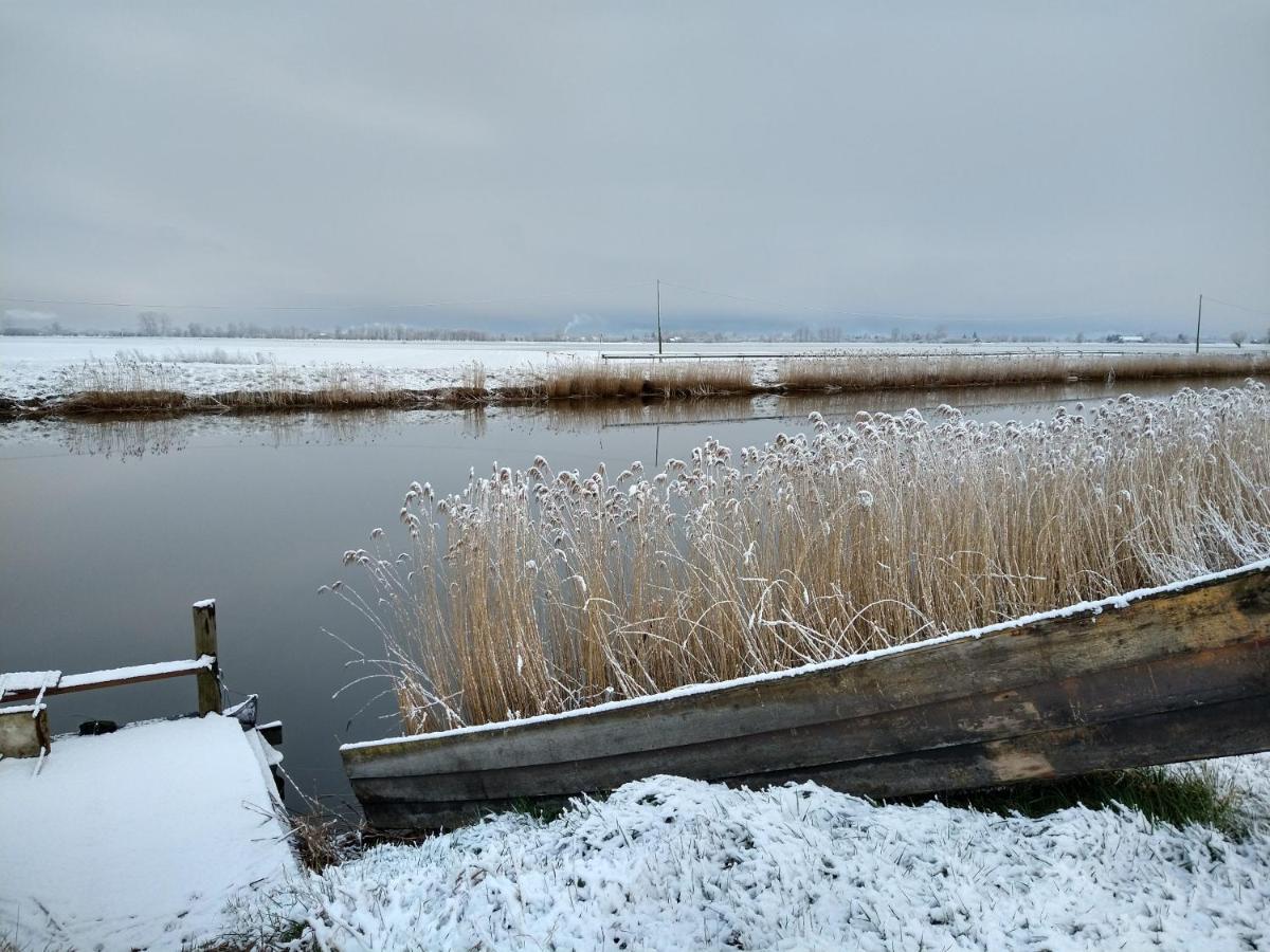 Cold Sea
