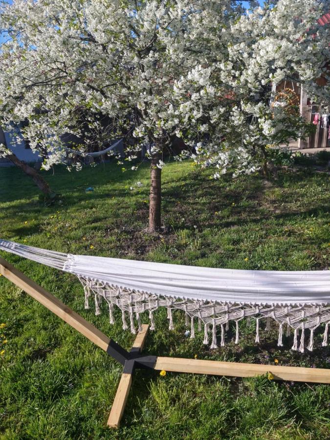 Cold Sea Bed & Breakfast Sztutowo